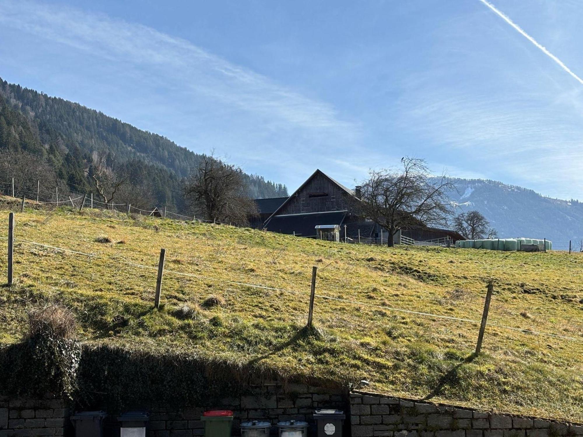 Moderne-Ferienwohnung-Nur-1Km-Vom-Millstaetter-See-In-Kaernten-Entfernt Millstatt Extérieur photo