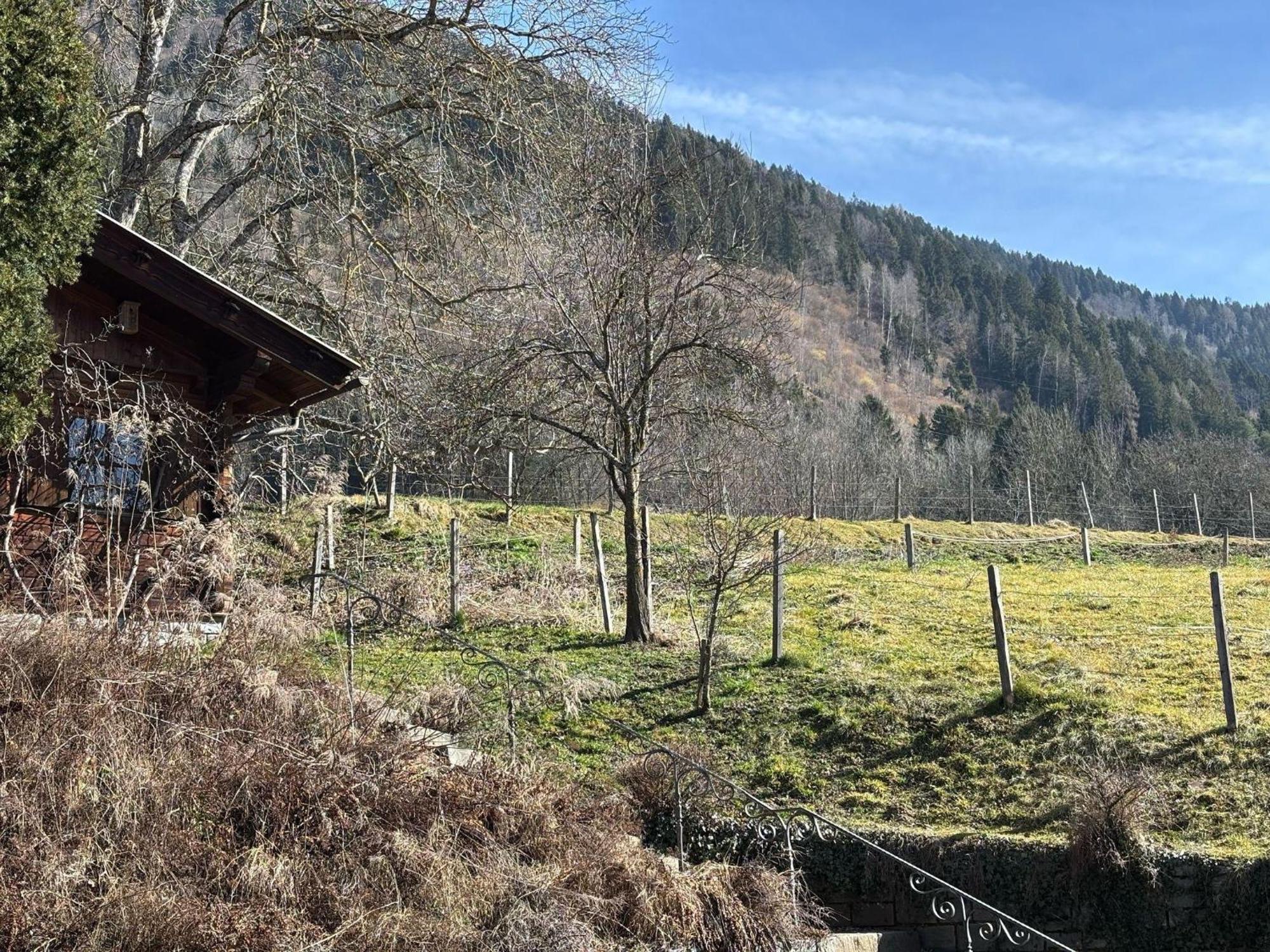 Moderne-Ferienwohnung-Nur-1Km-Vom-Millstaetter-See-In-Kaernten-Entfernt Millstatt Extérieur photo